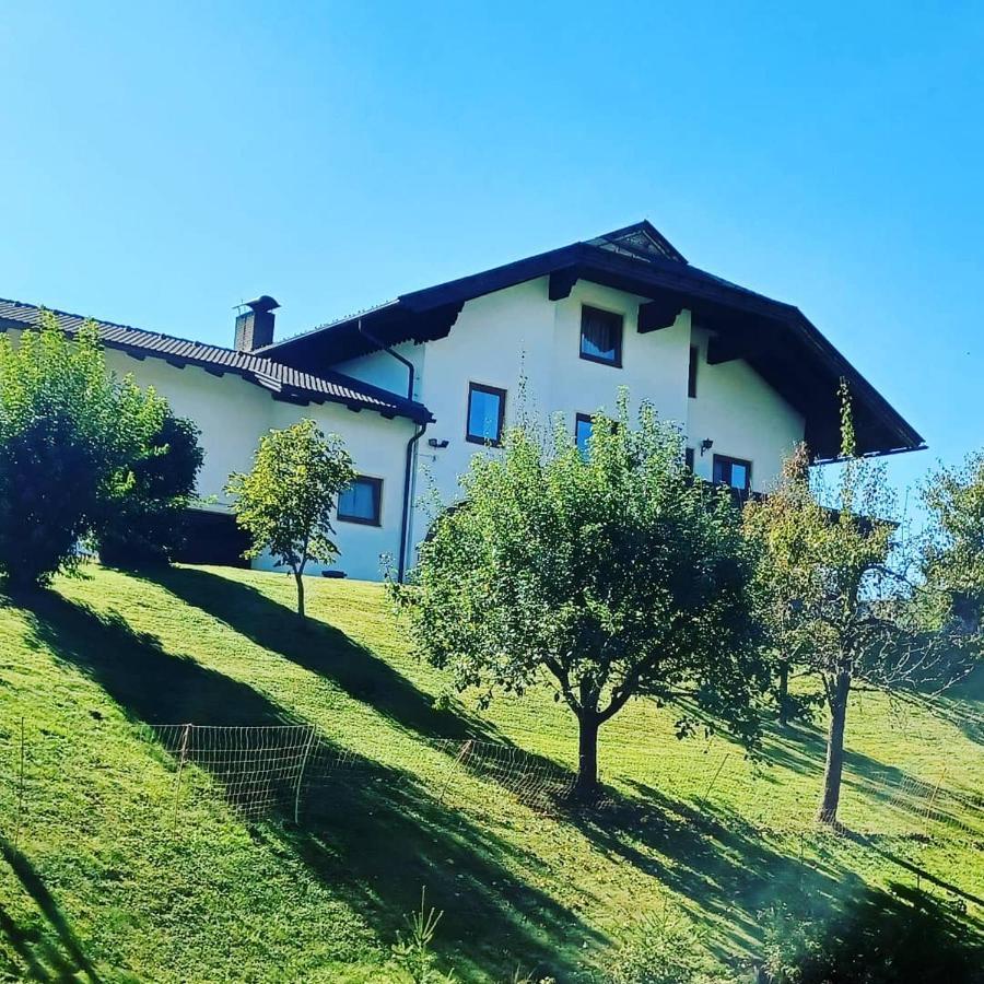 Ferienwohnung Schaller Feistritz an der Drau Екстериор снимка