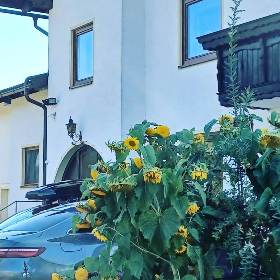 Ferienwohnung Schaller Feistritz an der Drau Екстериор снимка