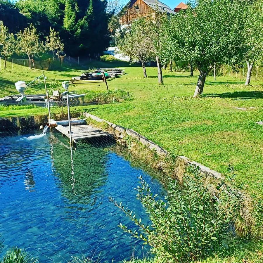 Ferienwohnung Schaller Feistritz an der Drau Екстериор снимка