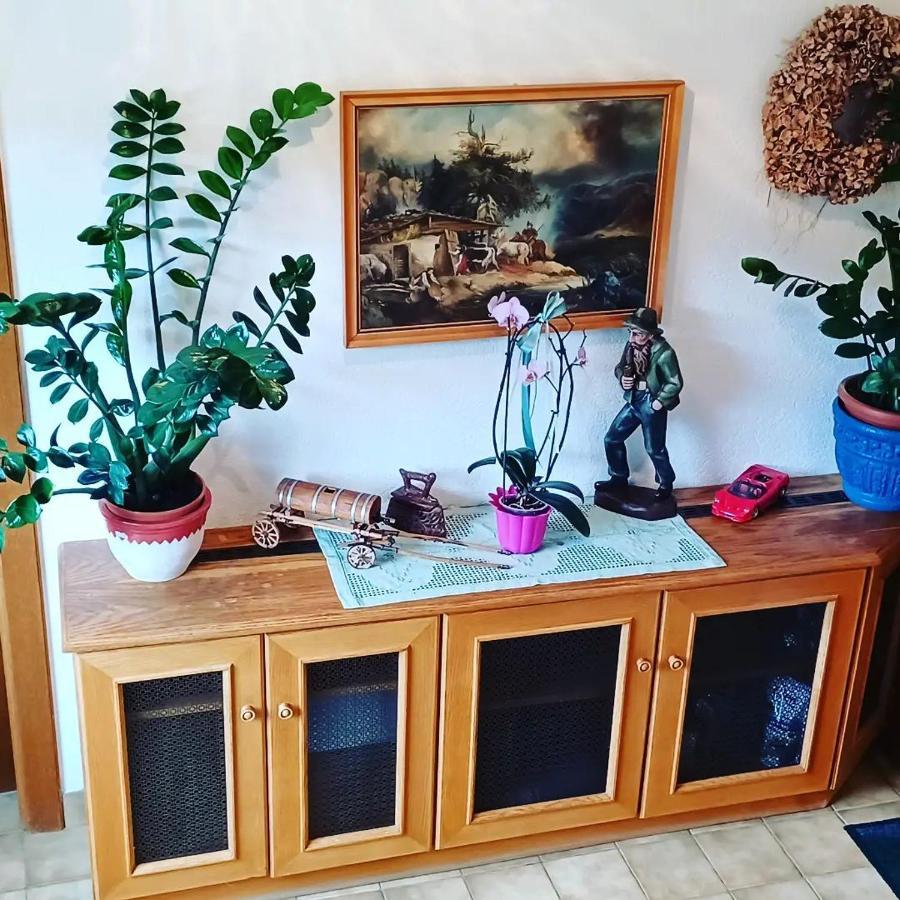 Ferienwohnung Schaller Feistritz an der Drau Екстериор снимка