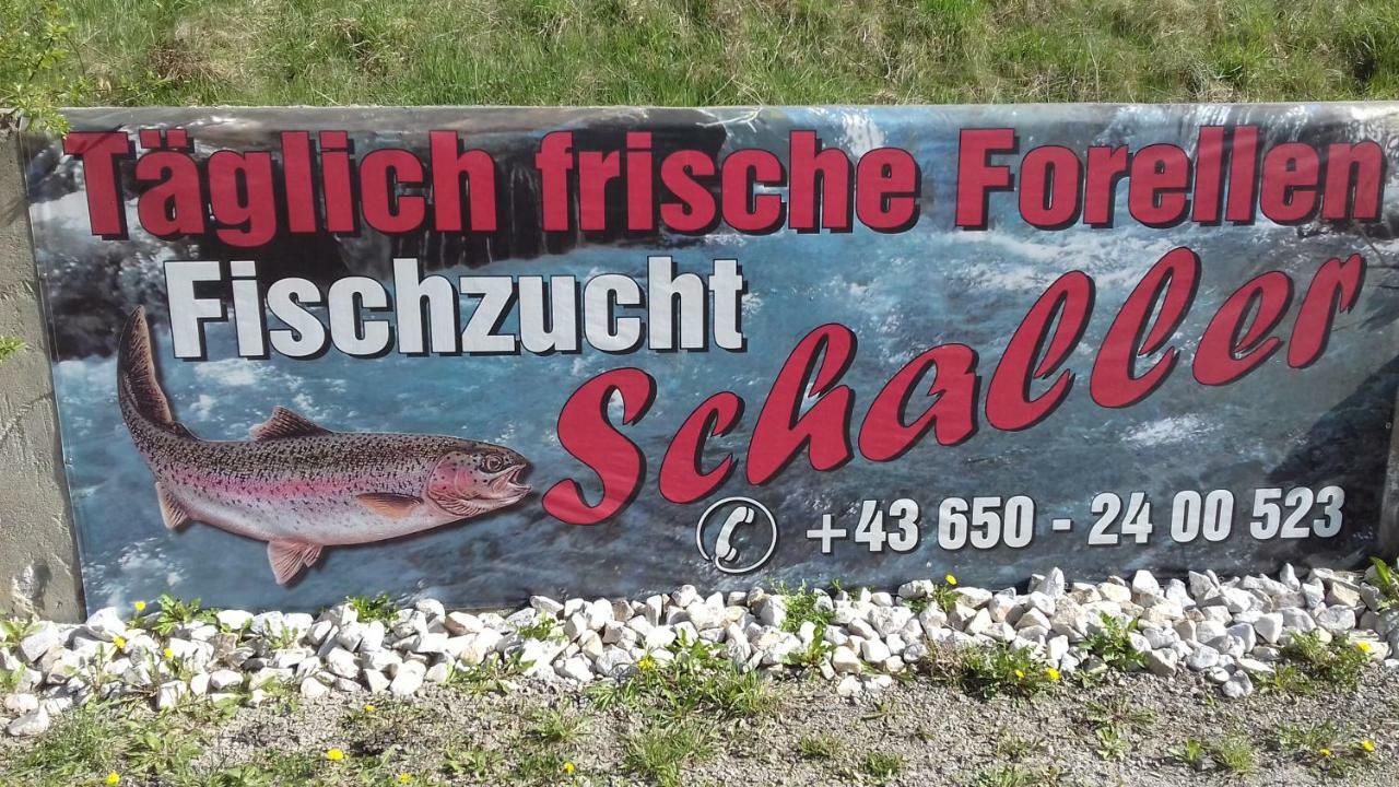 Ferienwohnung Schaller Feistritz an der Drau Екстериор снимка